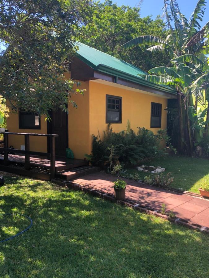 Airport Rio Segundo Studio Bed & Breakfast Alajuela Dış mekan fotoğraf