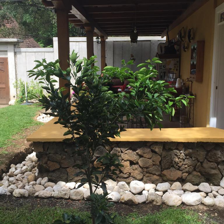 Airport Rio Segundo Studio Bed & Breakfast Alajuela Dış mekan fotoğraf