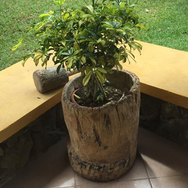 Airport Rio Segundo Studio Bed & Breakfast Alajuela Dış mekan fotoğraf